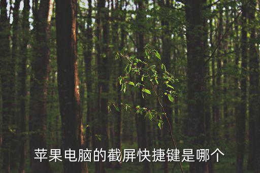 mac截圖快捷鍵，蘋果電腦的截屏快捷鍵是哪個