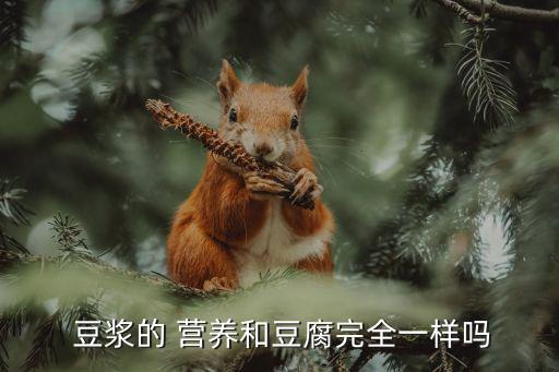 豆漿營養成分,豆漿營養不同于豆腐適合兒童和老人食用