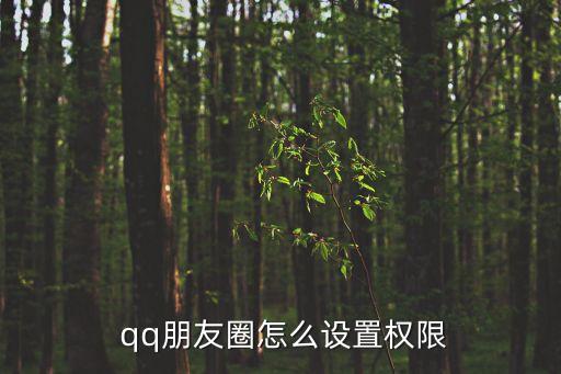  qq朋友圈怎么設置權限