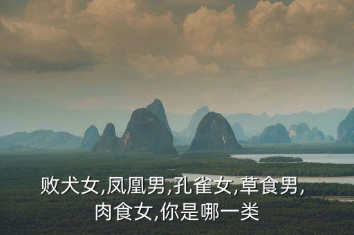 太太是肉食女,免費觀看百度在線高清資源