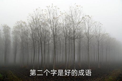 好的詞語(yǔ)，第二個(gè)字是好的成語(yǔ)