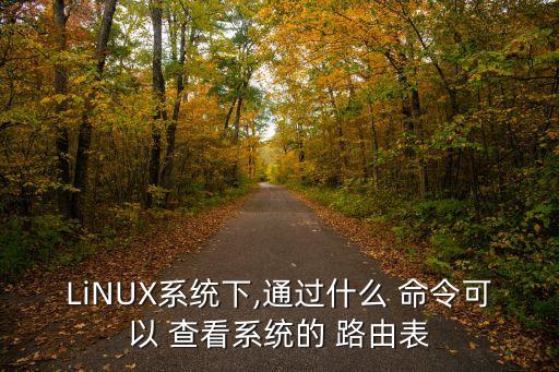 查看路由表命令,若與其他命令一起使用將刪除所有網(wǎng)關(guān)輸入記錄