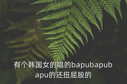 有個韓國女的唱的bapubapubapu的還扭屁股的