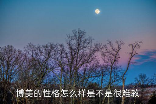 博美性格，博美犬有什么性格
