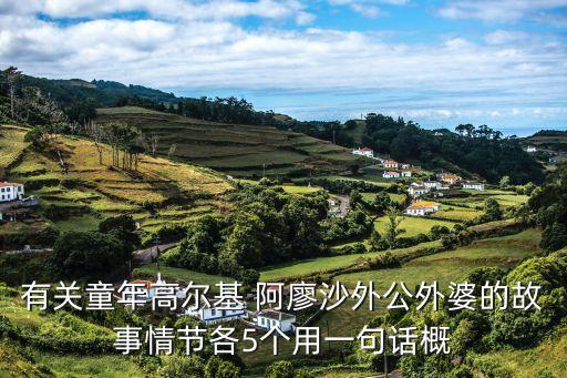 有關童年高爾基 阿廖沙外公外婆的故事情節各5個用一句話概