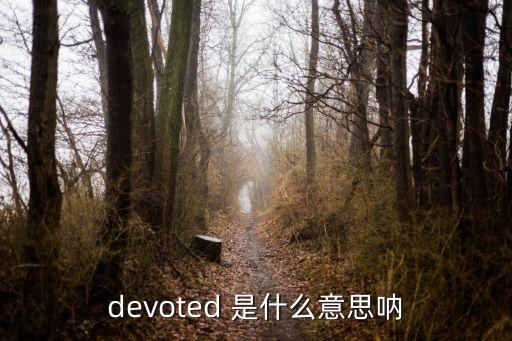 devoted 是什么意思吶