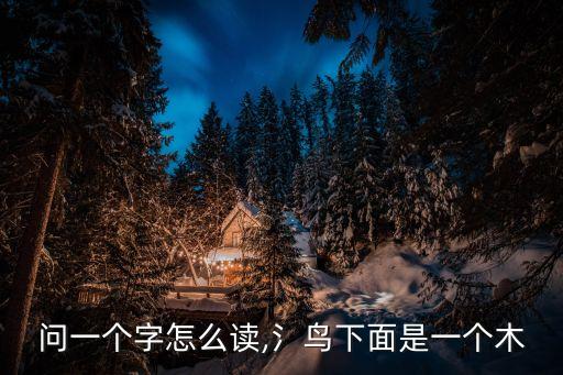 一個鳥一個木,從鳥到人!雅典娜的愛鳥