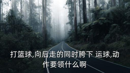 胯下運(yùn)球教學(xué)分解動(dòng)作,運(yùn)球時(shí)注意什么東西?