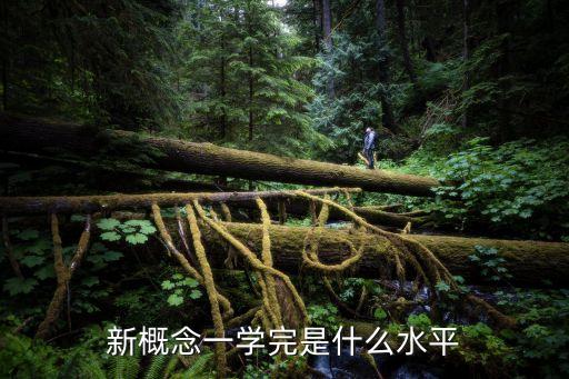 新概念一，怎樣學新概念1