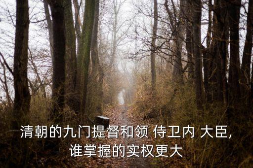 清朝的九門提督和領 侍衛(wèi)內 大臣,誰掌握的實權更大