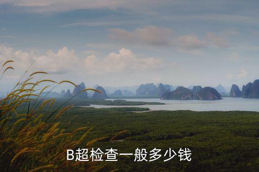 B超檢查一般多少錢