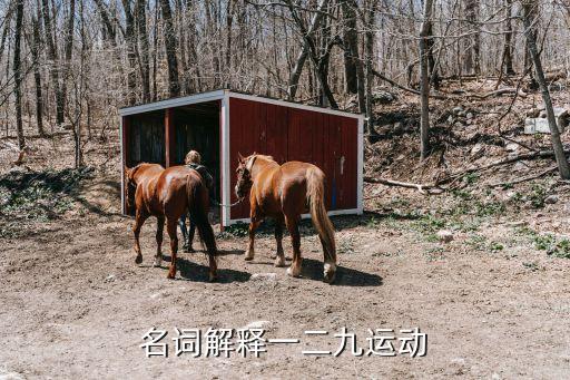 名詞解釋一二九運(yùn)動(dòng)