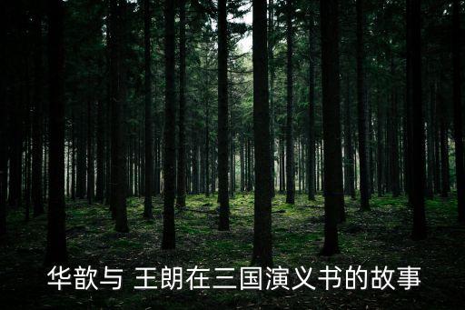  華歆與 王朗在三國演義書的故事