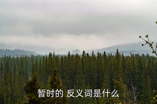 永恒的反義詞,第一集:永遠的、長久的、永恒、永久的