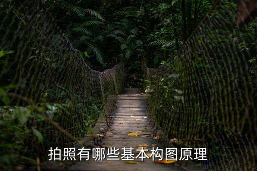 拍照有哪些基本構圖原理