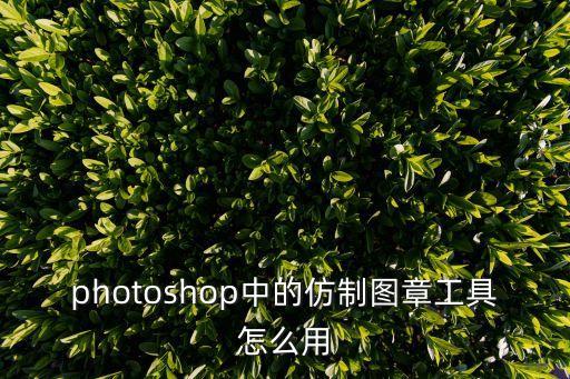 photoshop中的仿制圖章工具怎么用