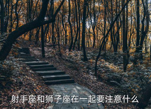 射手座和獅子座在一起要注意什么