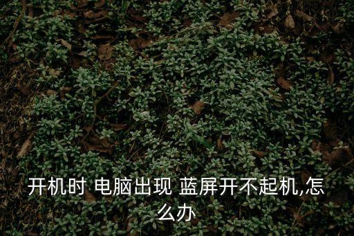 開(kāi)機(jī)時(shí) 電腦出現(xiàn) 藍(lán)屏開(kāi)不起機(jī),怎么辦