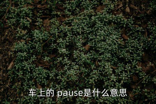 車上的 pause是什么意思