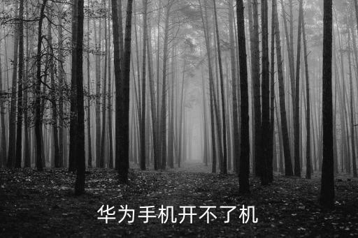 華為手機開不了機