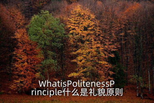 WhatisPolitenessPrinciple什么是禮貌原則