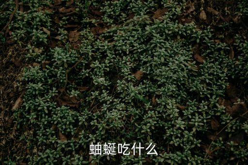 耳膜炎怎么治療,蟲子入侵人體皮膚可引起皮膚炎癥