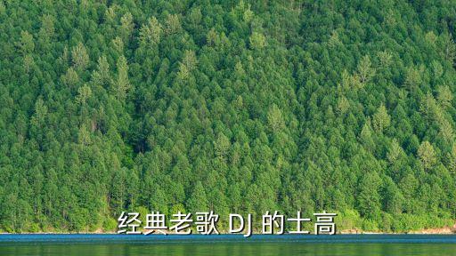 經典老歌 DJ 的士高