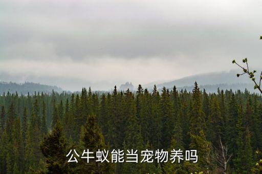 公牛蟻,世界最大螞蟻是饕餮牛蟻