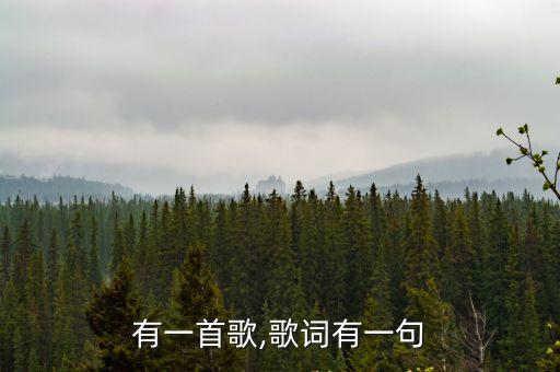 有一首歌,歌詞有一句