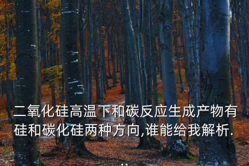  二氧化硅高溫下和碳反應生成產物有硅和碳化硅兩種方向,誰能給我解析...
