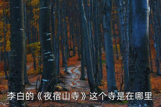 李白的《夜宿山寺》這個寺是在哪里