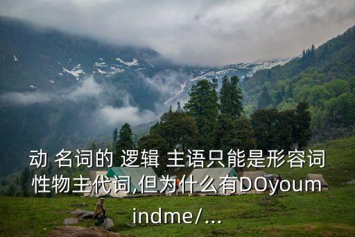 動 名詞的 邏輯 主語只能是形容詞性物主代詞,但為什么有DOyoumindme/...