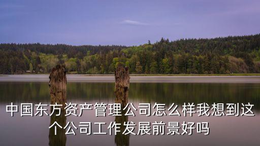 中國(guó)東方資產(chǎn)管理公司怎么樣我想到這個(gè)公司工作發(fā)展前景好嗎