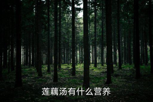 蓮藕湯有什么營養