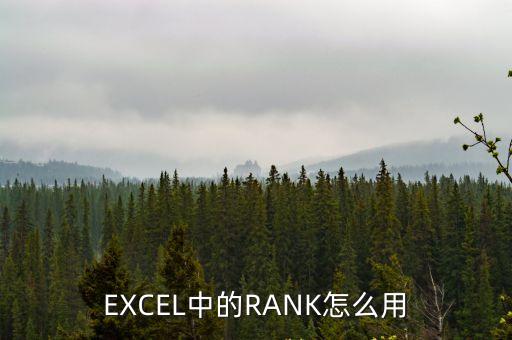 rank函數(shù)怎么用，EXCEL中的RANK怎么用