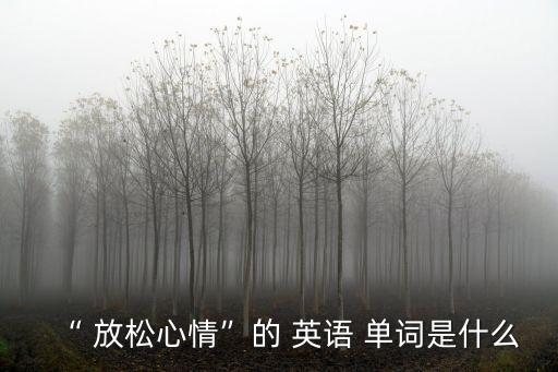 “ 放松心情”的 英語 單詞是什么