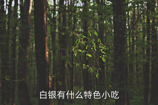 白銀有什么特色小吃