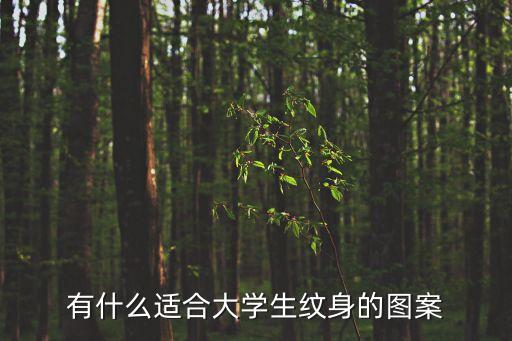 有什么適合大學(xué)生紋身的圖案