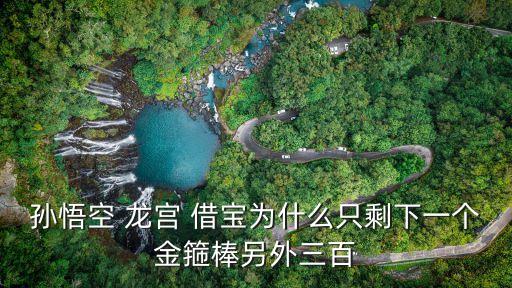 孫悟空 龍宮 借寶為什么只剩下一個金箍棒另外三百