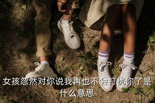 再也不會打擾你，幫幫我用任何語言寫一句話意思大概是我以后再也不會打擾你
