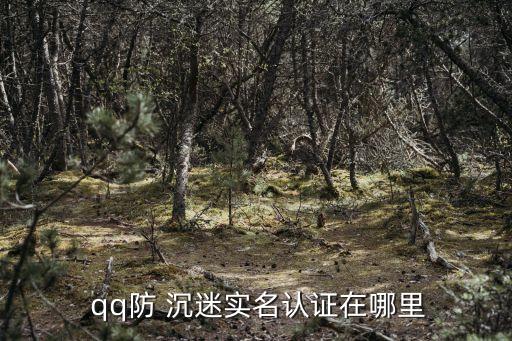 qq游戲防沉迷,王者榮耀:游戲以競技為主需要注冊實名認證