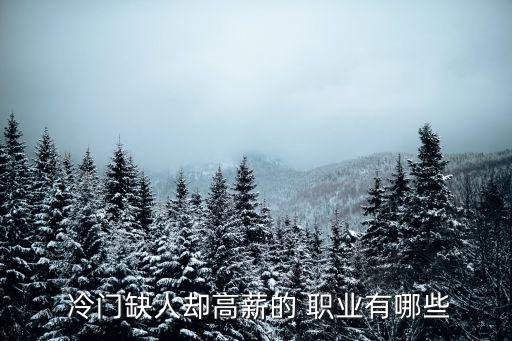 冷門職業(yè),十大冷門行業(yè):胸模和腳模都很冷門