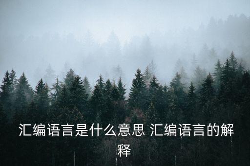  匯編語言是什么意思 匯編語言的解釋