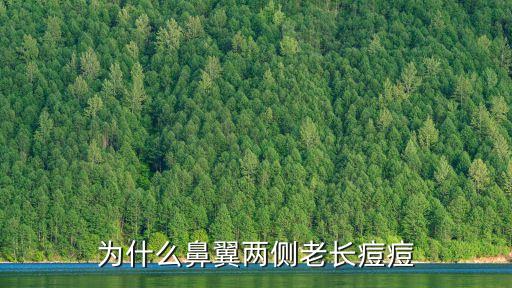 為什么鼻翼兩側老長痘痘