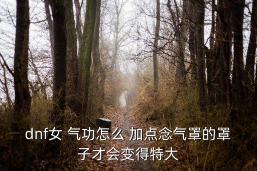 女氣功加點,巫女氣功西林9刷圖加點無合同加點可參考