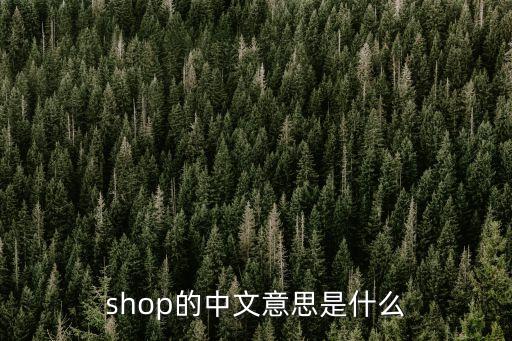 shop過去式，shop中文是什么意思