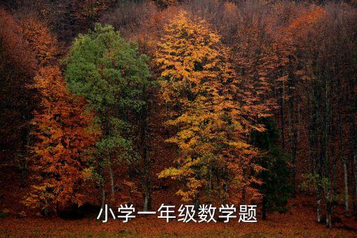 一年級數學練習題，小學生一年級數學題