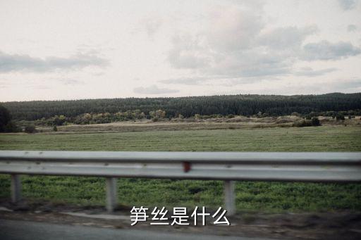 冬筍絲,本屆大選!