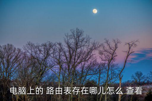電腦上的 路由表存在哪兒怎么 查看