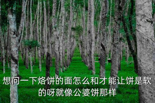 怎么烙餅，烙餅怎樣弄的快